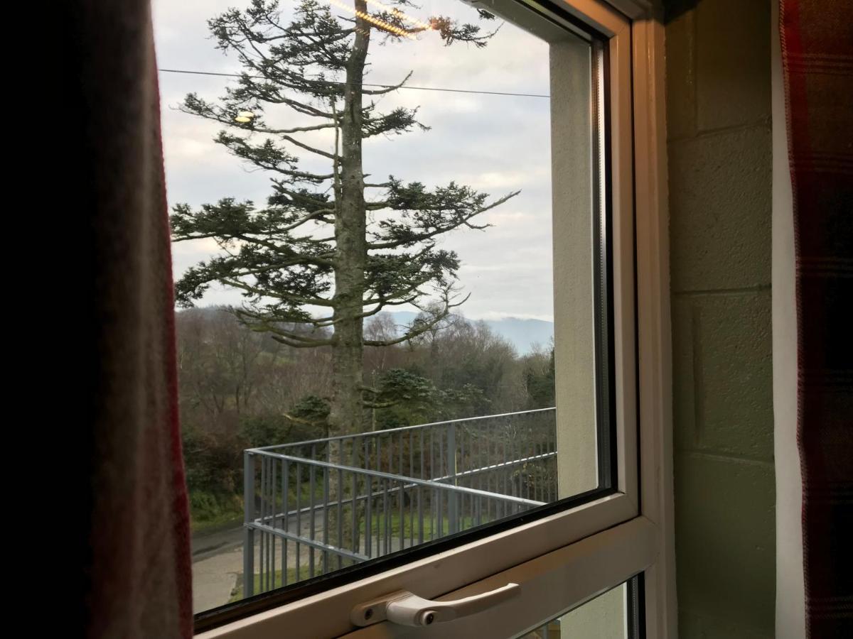 Rostrevor Mountain Lodge - Glamping Pods - Revive Sauna & Hot Tubs エクステリア 写真