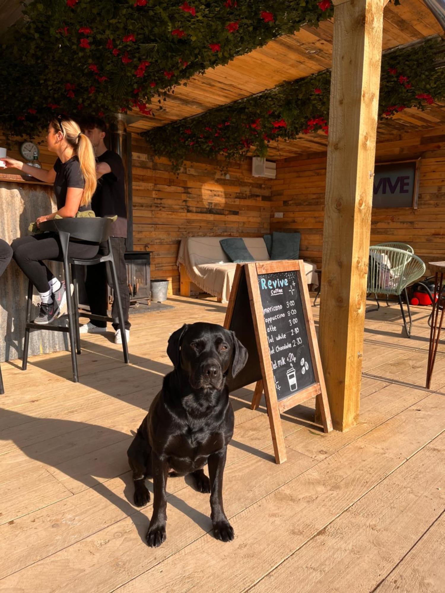 Rostrevor Mountain Lodge - Glamping Pods - Revive Sauna & Hot Tubs エクステリア 写真